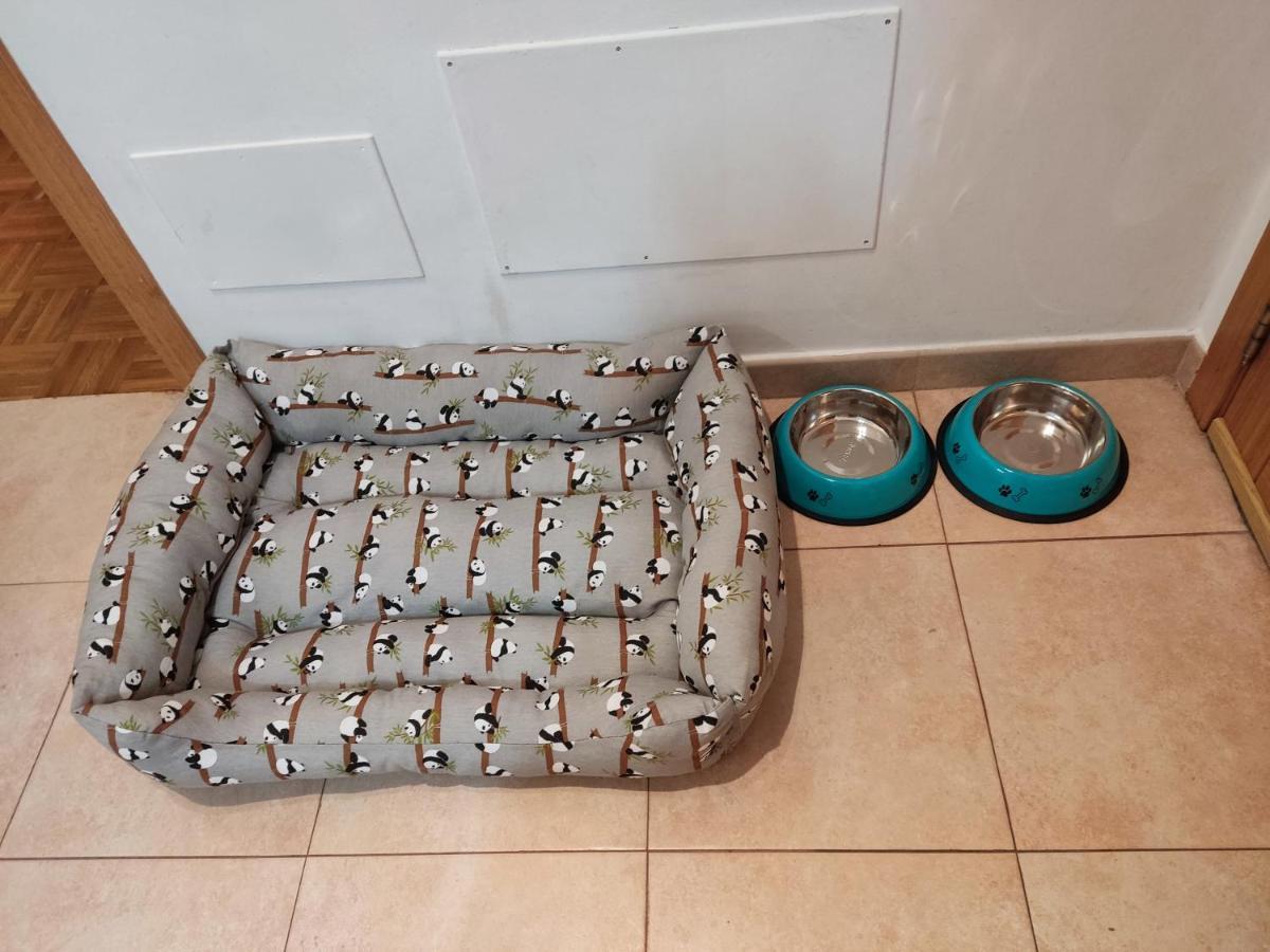 Alojamiento Rey Davina Apartman Pontevedra Kültér fotó